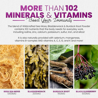 Sakoon nutrition Irish Sea Moss Gummies with Elderberry & Black Seed Oil - Overall Wellness Support | Rich in Vitamins, Raspberry Flavor | 60 Gummies