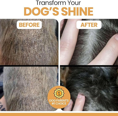 Salmon Oil for Dogs - 64 oz Liquid - Premium Fish Oil for Skin and Coat Health - Omega 3 Supplement - Supports Itchy Skin - Norwegian Dog Salmon Oil - Essential Dog Supplement