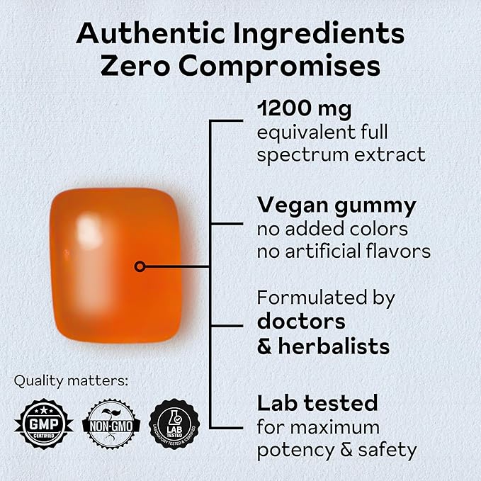 Reprise Goji Berry Superfood Gummies - All-Natural Antioxidant, Digestion, 240 mg Full-Potency, Low-Sugar, Vegan, 45 Blueberry Flavored Gummies (Pack of 1)