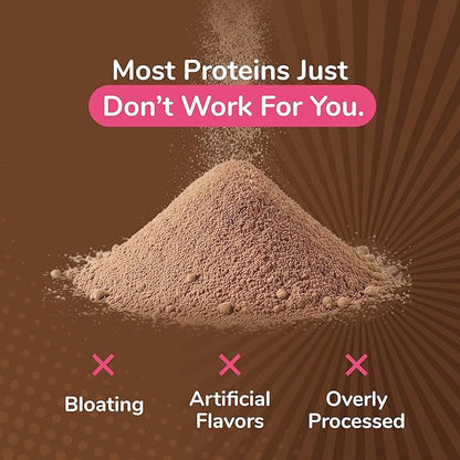 Pin Up Girl Whey Protein Isolate Powder | Dutch Chocolate | 25g of Protein Per Serving | Premium Muscle-Building Whey Protein for Women | Fat Free, Low Calorie, Low Carb, No Added Sugar (32 Ounces)
