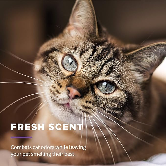 Wet Ones for Pets Freshening Multipurpose Wipes for Cats With Aloe Vera, 100 ct - 3 Pack | Easy to Use Cat Cleaning Wipes, Freshening Cat Grooming Wipes for Pet Grooming in Fresh Scent| Cat Wipes