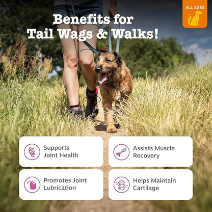 Zesty Paws Hip and Joint for Dogs, Glucosamine for Dogs Hip and Joint Supplement with Chondroitin, MSM, Vitamins C & E - Duck, 250 Count
