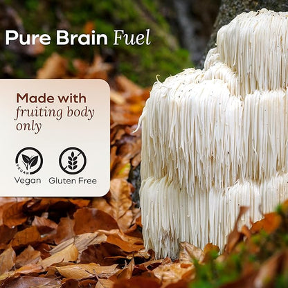 Lions Mane Mushroom Gummies for Focus and Memory - 500mg Fruiting Body Extract - Cognitive Support and Brain Health Supplements for Adults and Kids - Vegan, Gluten-Free - Canyon Cooler - 30 Servings