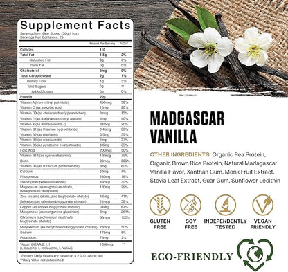 Ambrosia Planta - Plant-Based Protein Powder 20g | Dairy Free Vegan Protein Powder with BCAA Amino Acids | Keto-Friendly, No Added Sugar | 25 Servings | Vanilla