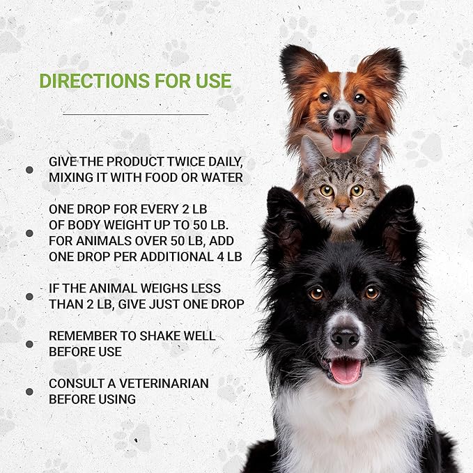 Lion's Joints | Natural Herbal Dietary Supplement for Cats | Healthy Joints Support in Cats | Alcohol-Free Extract, Calendula, Dandelion Root, Chamomile, Lavender, Fennel 2 oz