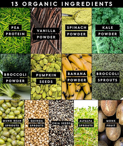 Truvani Protein + Greens Supplement | Spinach, Kale & Broccoli | 10g Organic Plant Based Protein | 20 Servings | USDA Organic | Gluten & Dairy Free | Vegan | No Added Sugar
